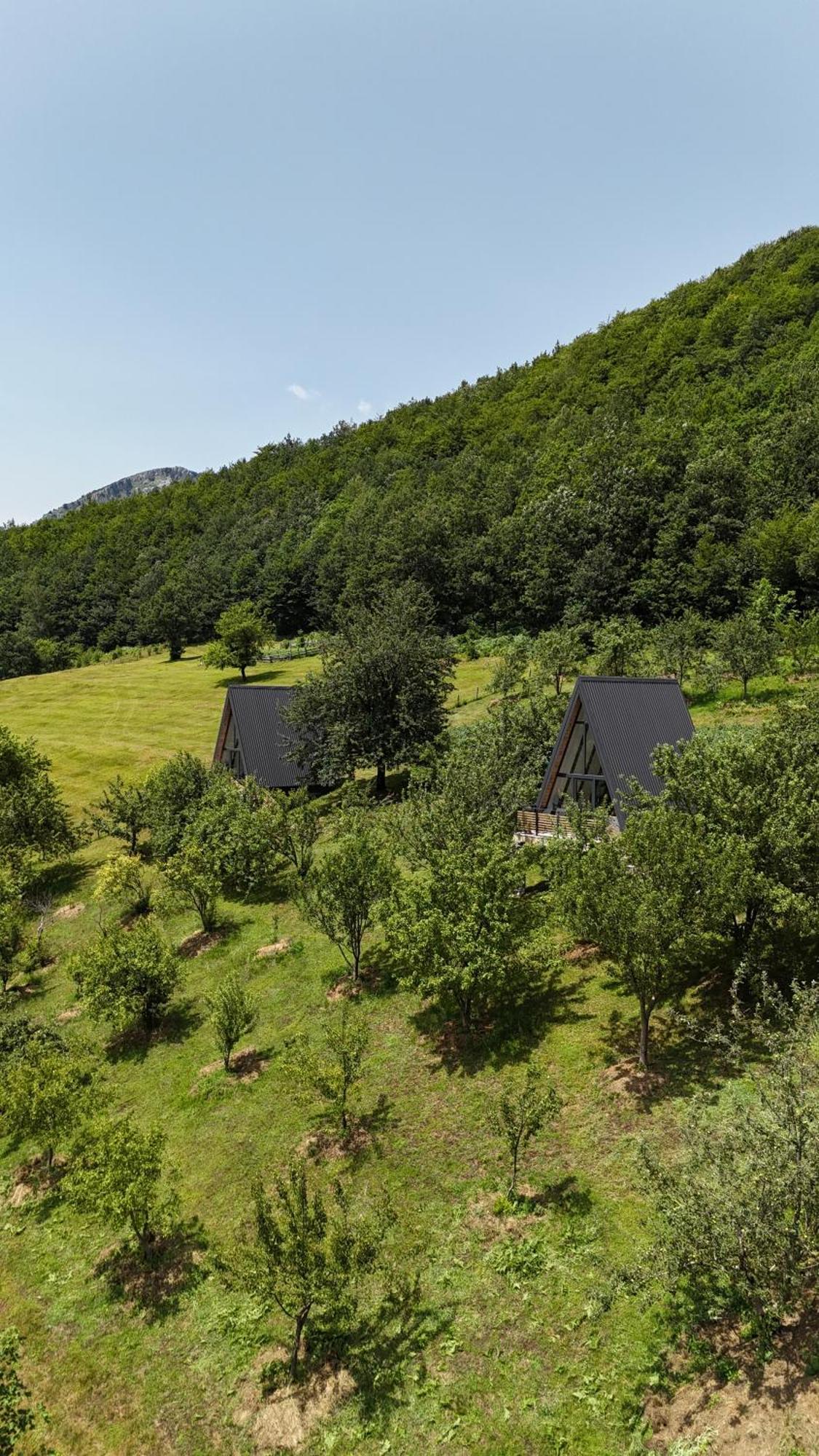 Fern Farm Tiny Home Мойковац Экстерьер фото