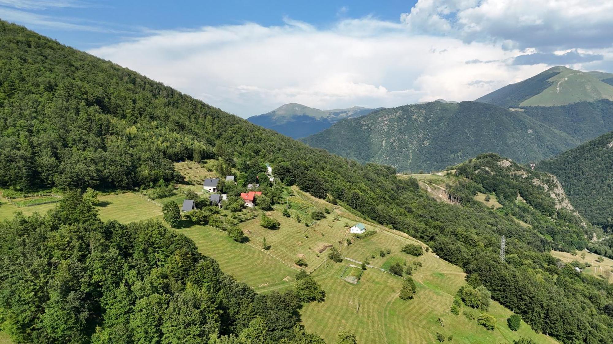 Fern Farm Tiny Home Мойковац Экстерьер фото