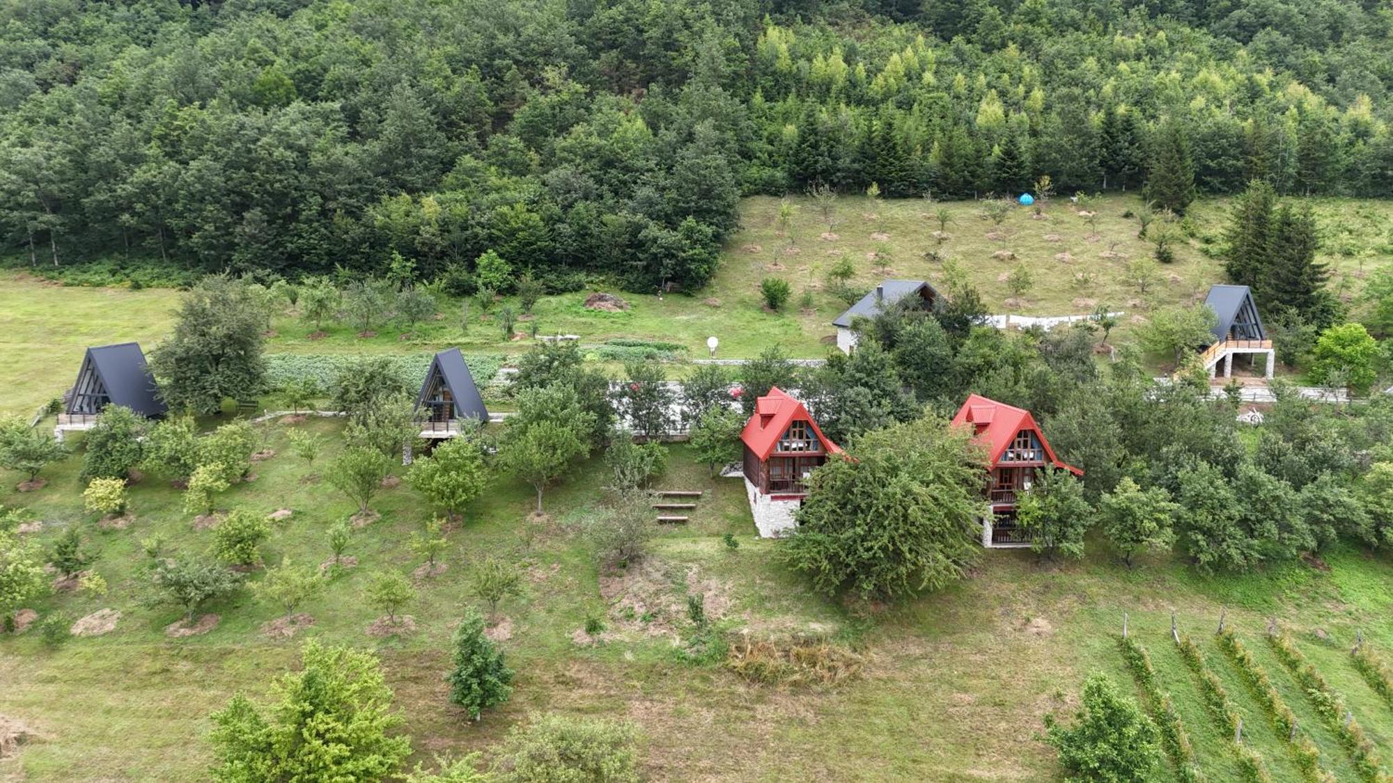 Fern Farm Tiny Home Мойковац Экстерьер фото