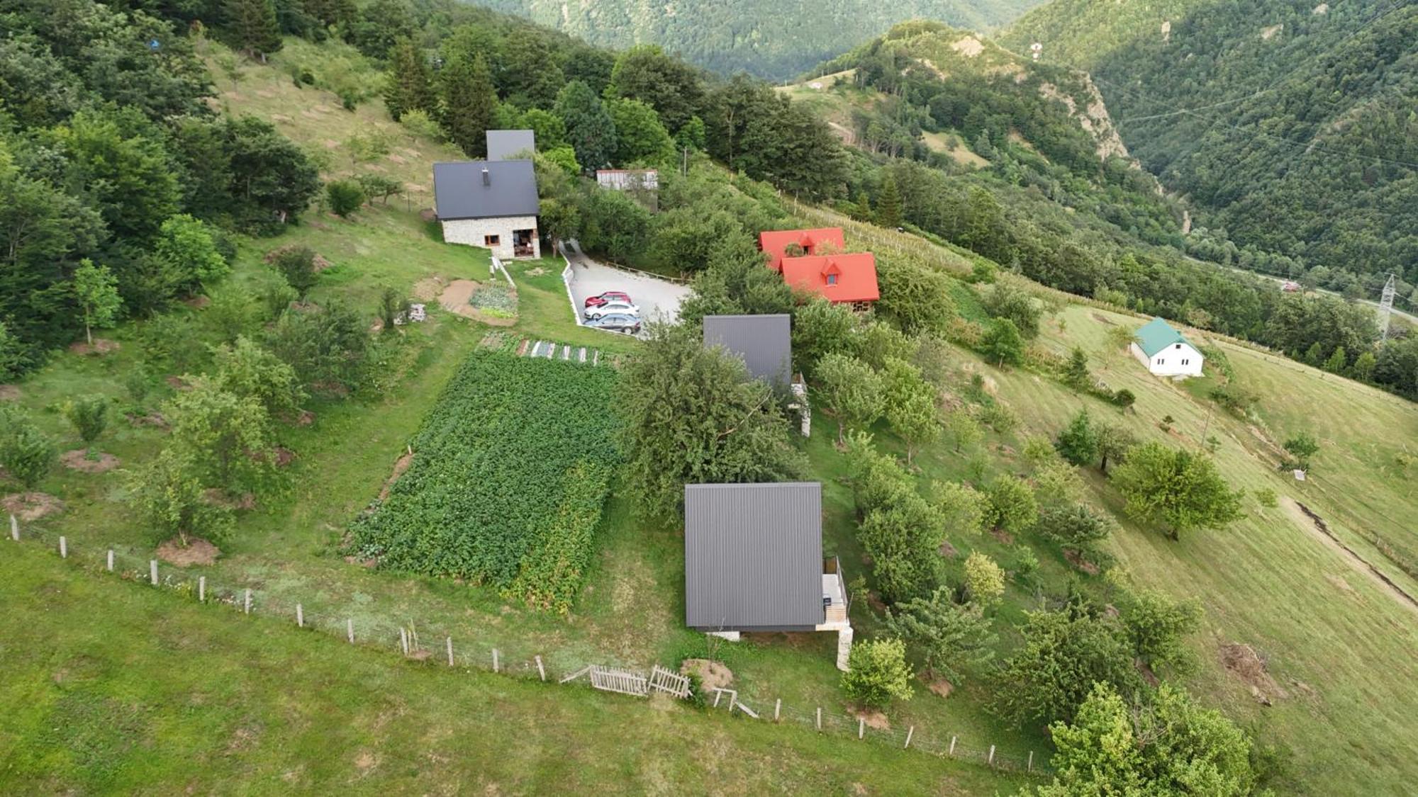 Fern Farm Tiny Home Мойковац Экстерьер фото